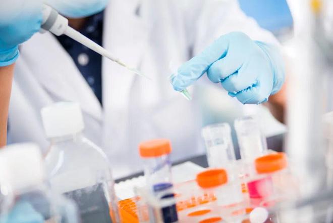 喜訊 | 中源協和參與國家“十四五”前沿技術重點研發項目，助力我國細胞治療產業高質量發展